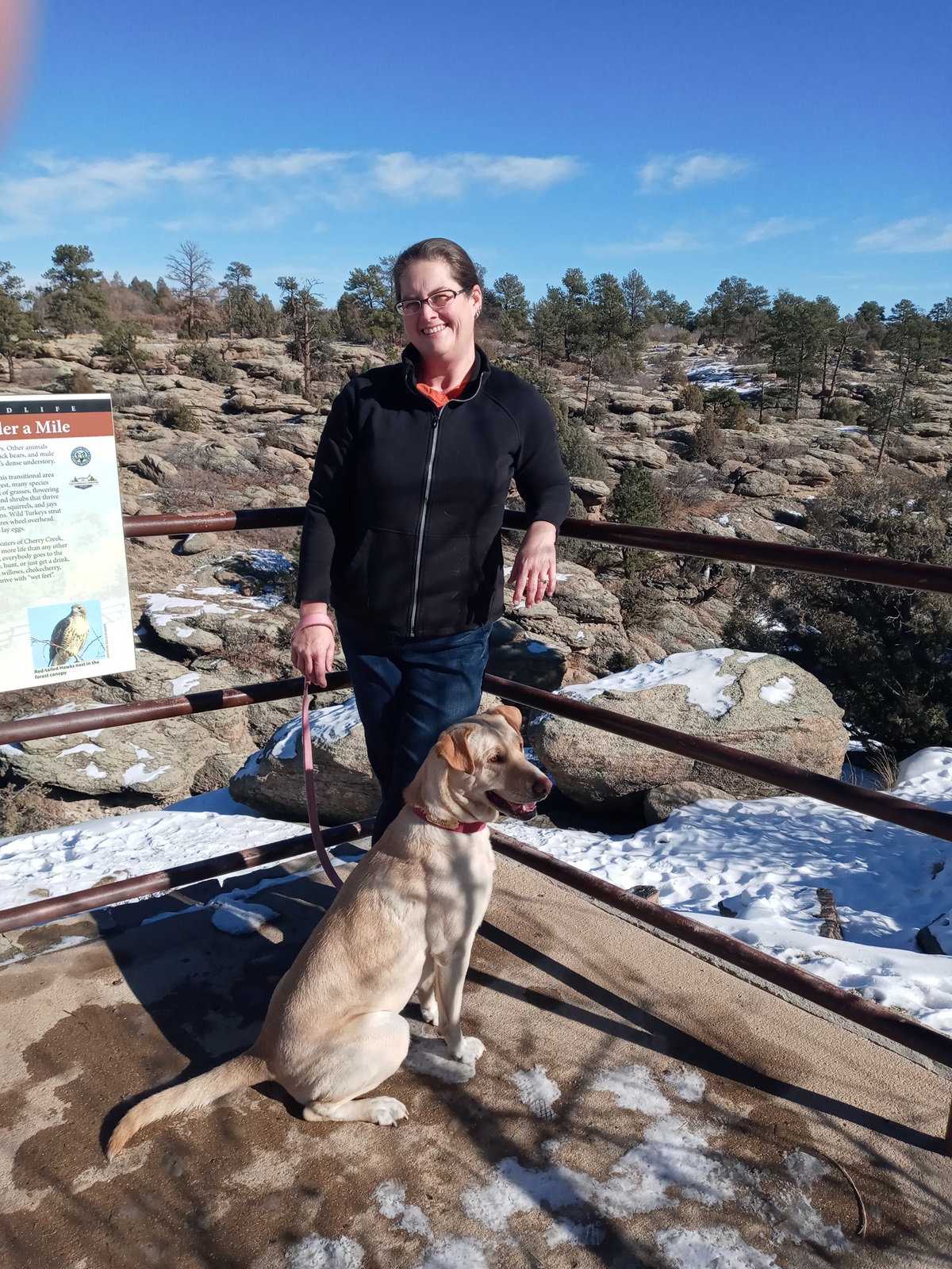 Private Dog Training